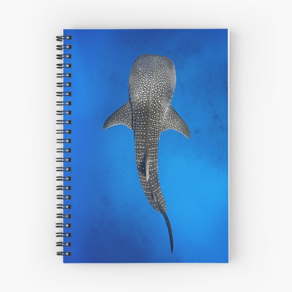 Item preview, Whale Shark  designed and sold by Jesshaddenphoto.
