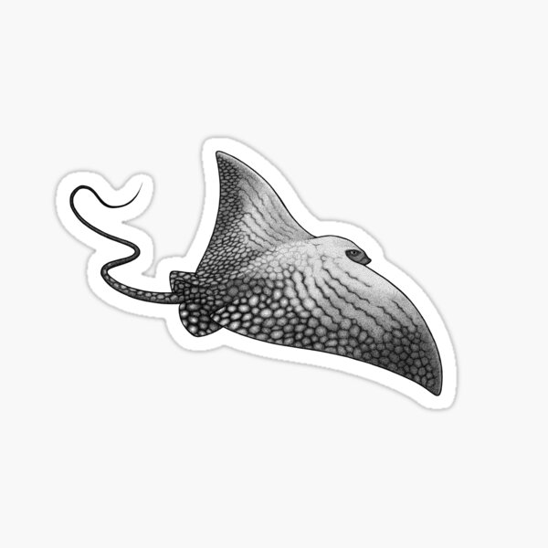 Item preview, Ornate Eagle Ray designed and sold by Josh Hilditch.