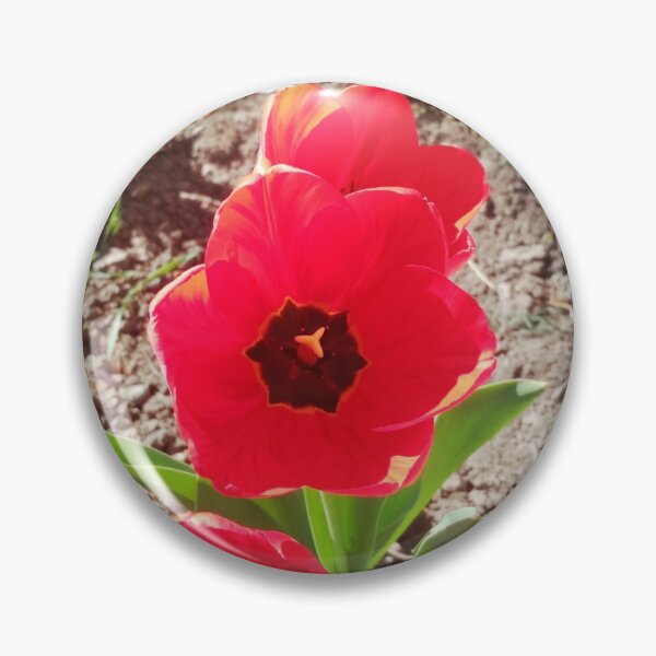 Item preview, Red beautiful tulips designed and sold by helenkaiy.