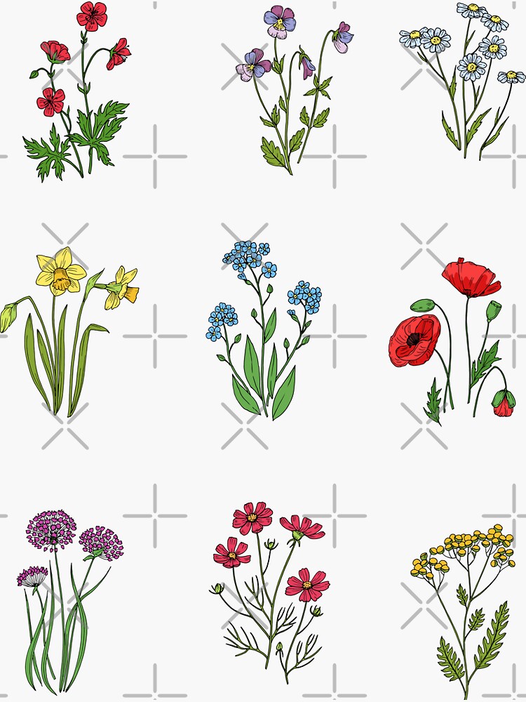 Thumbnail 3 of 3, Sticker, Wild Flowers collection designed and sold by neteor.