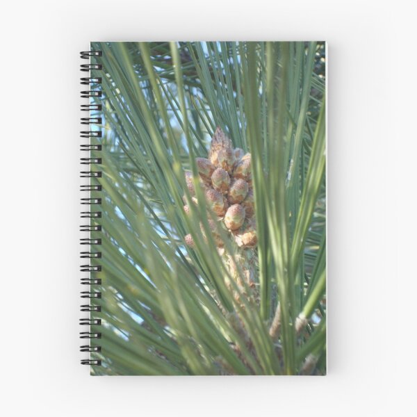Item preview, Pinecone designed and sold by vanhagen.