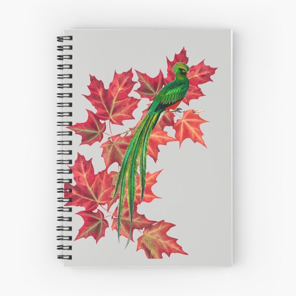 Item preview, Loerie on leaves designed and sold by GlitterFinch.