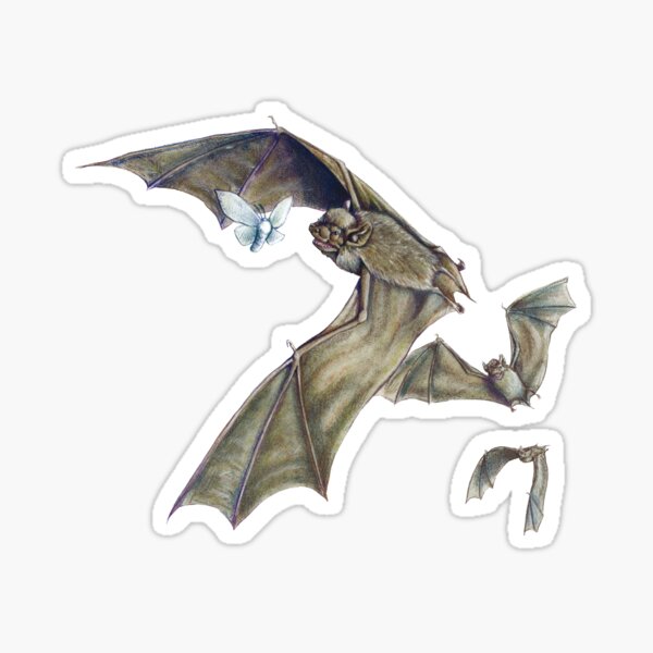 Savi's Pipistrelle - itty bitty bats flying around Sticker