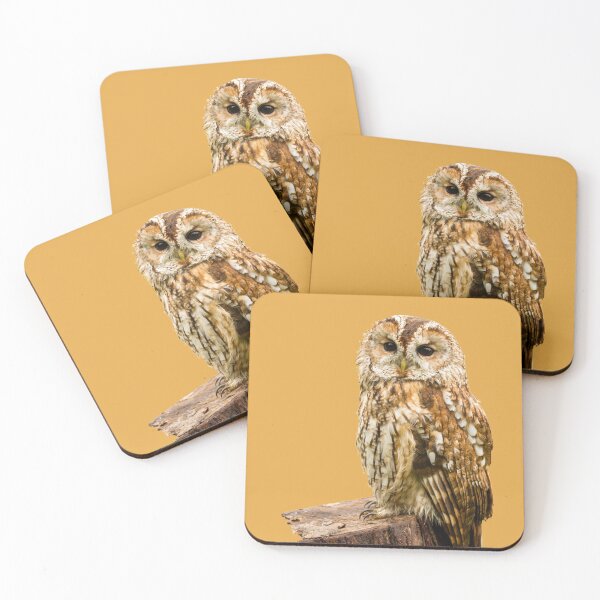 Item preview, Tawny Owl designed and sold by Jane Stanley Photography.