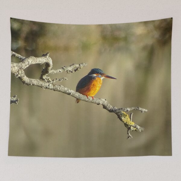 Item preview, Cuckmere Kingfisher designed and sold by TweakyBlinders.