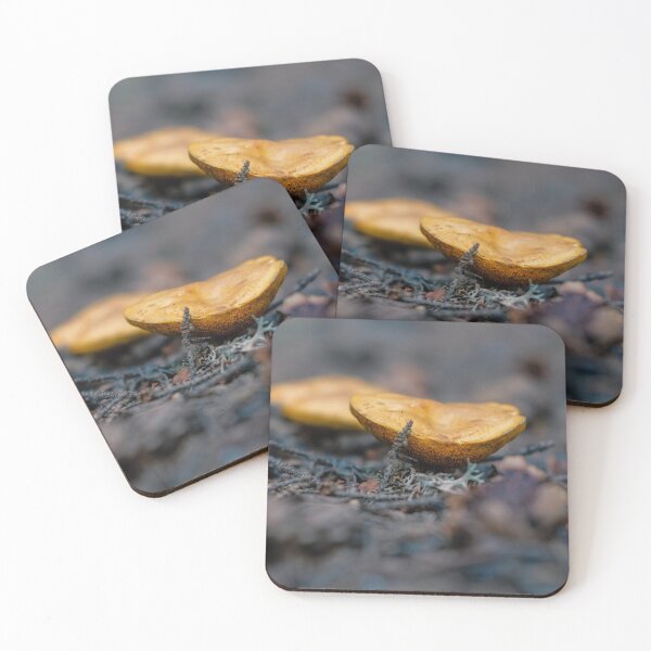 Item preview, Wild mushrooms designed and sold by anna-mar.