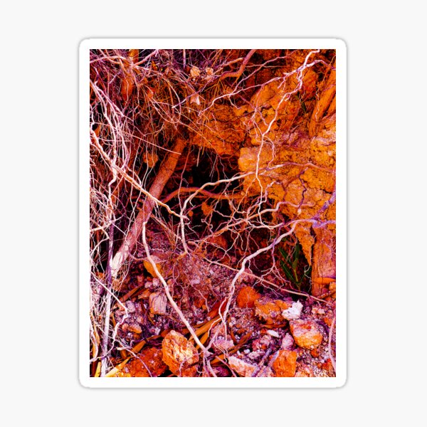 TONE ROOTS 7 - Subterranean Conversation Exposed Sticker