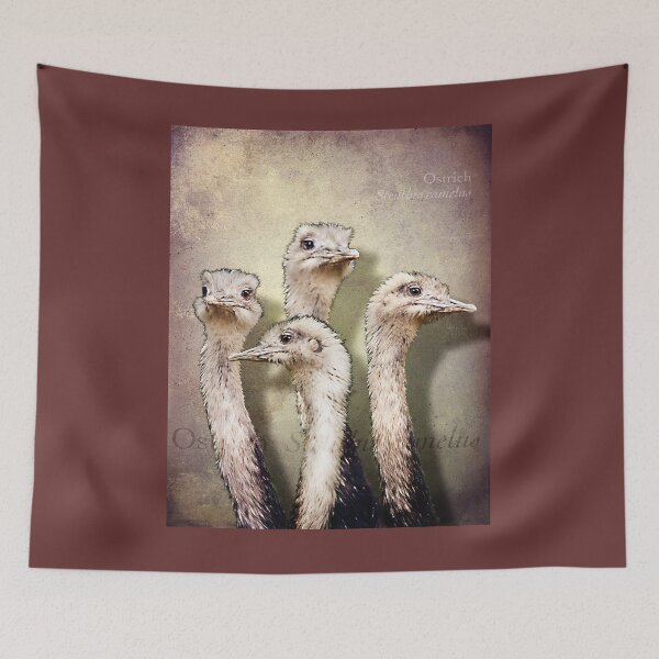 Item preview, pride of ostriches designed and sold by Trish Hart.