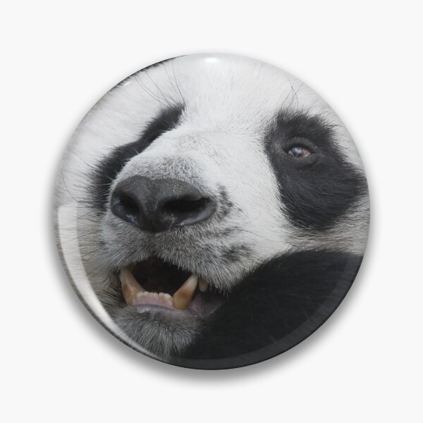 Item preview, Giant Panda bear designed and sold by Melissa Peltenburg.