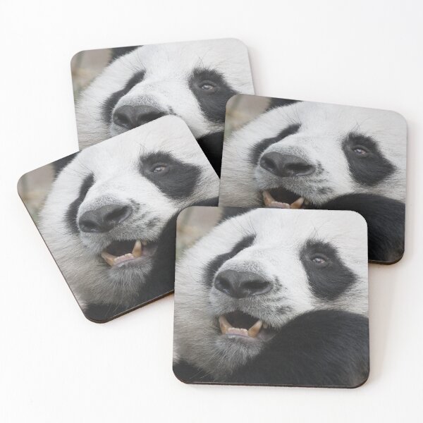 Item preview, Giant Panda bear designed and sold by Melissa Peltenburg.