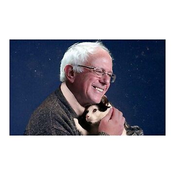 Vorschaubild zum Design Bernie Sanders Holding Cat von wyskiski