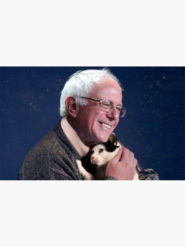 Thumbnail 3 von 3, Sticker, Bernie Sanders Holding Cat designt und verkauft von wyskiski.