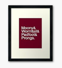 Marauders Framed Print