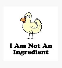 Ingredient Chicken Photographic Print