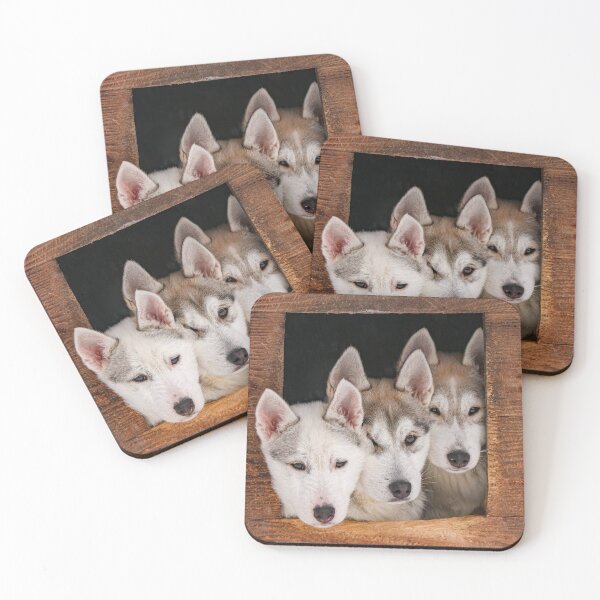 Item preview, Funny husky puppies, sled dog puppies designed and sold by Melissa Peltenburg.