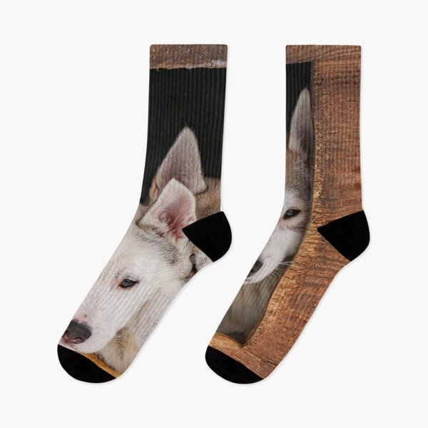 Item preview, Funny husky puppies, sled dog puppies designed and sold by Melissa Peltenburg.