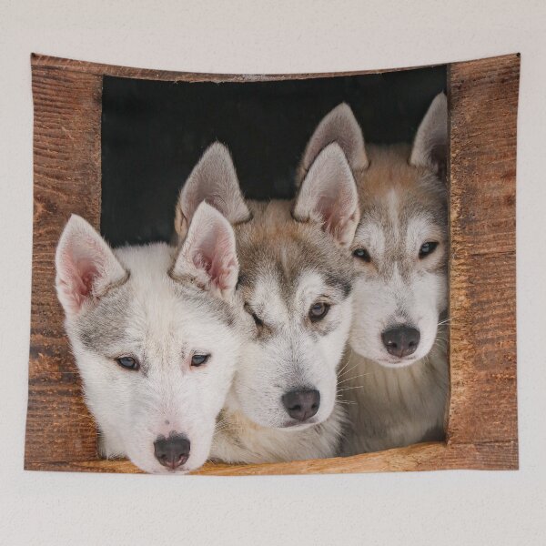 Item preview, Funny husky puppies, sled dog puppies designed and sold by Melissa Peltenburg.