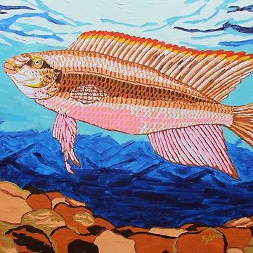 Artwork thumbnail, Kribensis Fish by RudyYoder