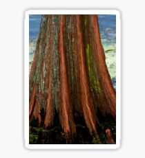 Cypress Tree Sticker