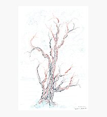 Genetic branches (hand drawn ink on paper) Photographic Print