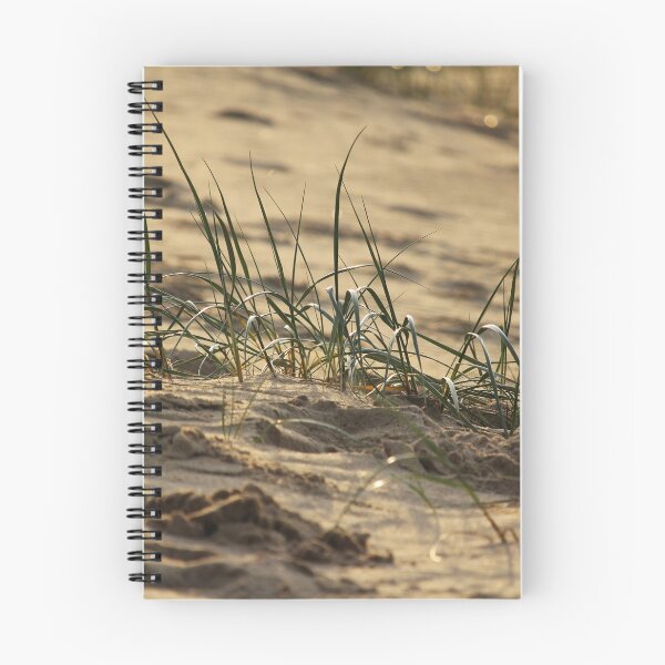 Item preview, Marram grass, backlit, Zeeland Coast designed and sold by Imladris01.