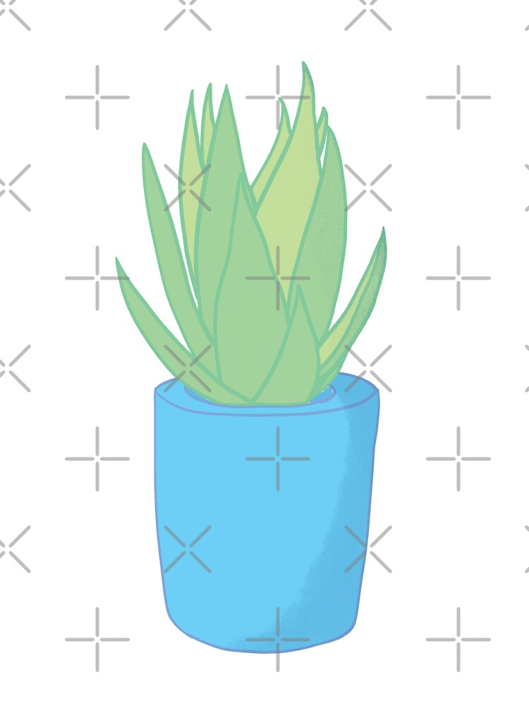Aloe Vera Succulent Cartoon Aloe Vera Succulent Cartoon