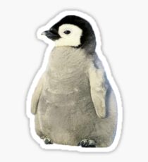 baby penguin Sticker