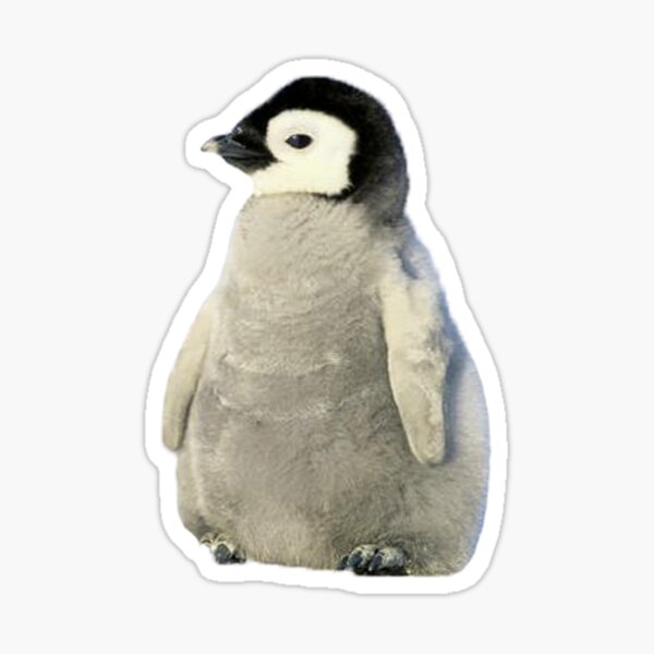 baby penguin Sticker