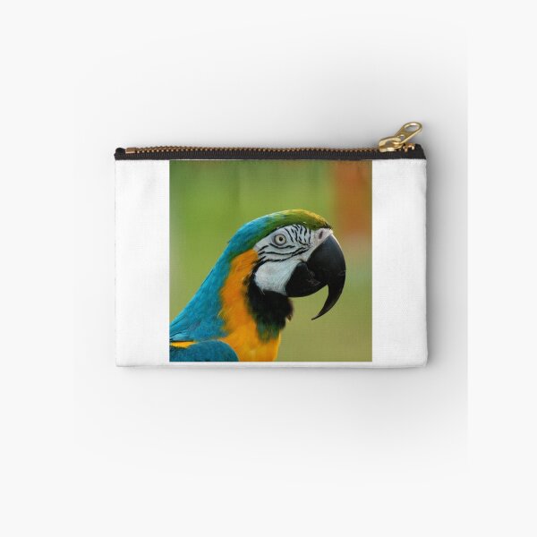 Item preview, Blue Macaw designed and sold by COLLINSPHOTO.