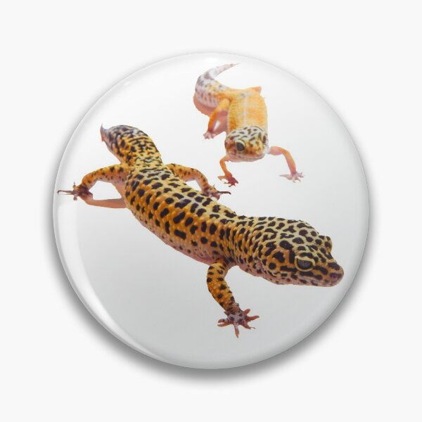 Artikelvorschau, Foto eines Leopardgecko-Paares entworfen und verkauft von bubbaclez.