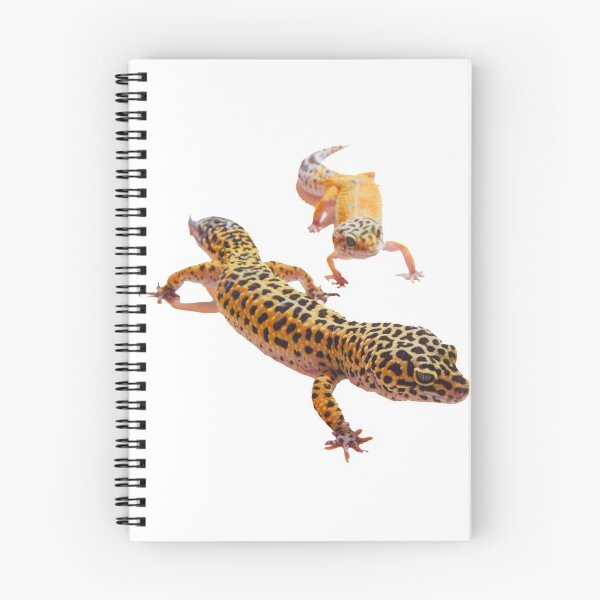 Item preview, Pair of leopard geckos photo designed and sold by bubbaclez.