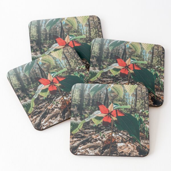 Item preview, Trillium designed and sold by hk2001.