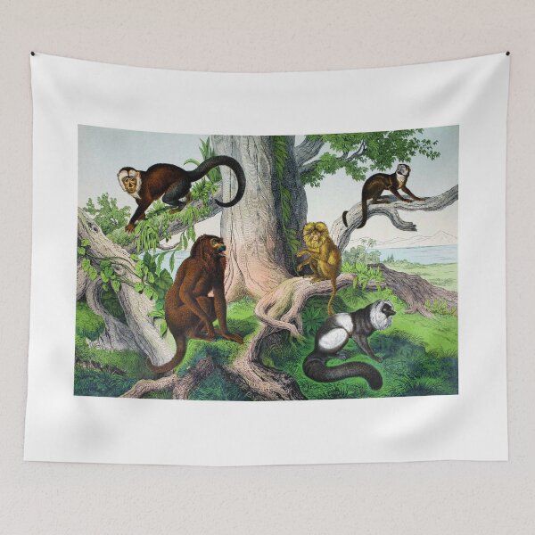 Item preview, Monkeys! designed and sold by Ecologos.