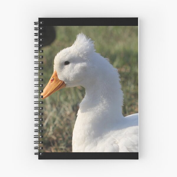 Item preview, Nice and Clean designed and sold by Norma Jean’s Art.
