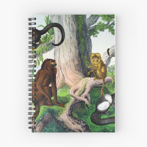 Item preview, Monkeys! designed and sold by Ecologos.
