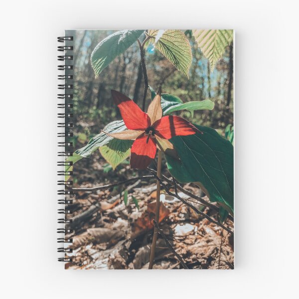 Item preview, Trillium designed and sold by hk2001.