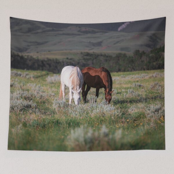 Item preview, White horse and bay horse grazing designed and sold by BerryvineImage.