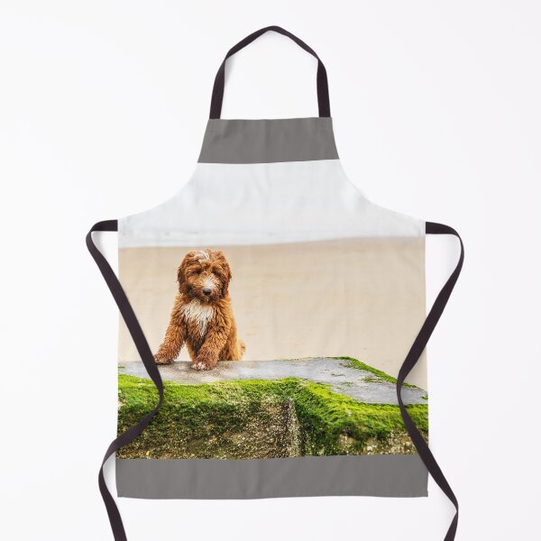 Artikelvorschau, Roter Cockapoo-Welpe am Strand entworfen und verkauft von Paul Thompson Photography.