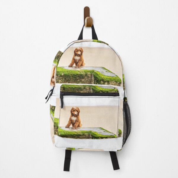 Item preview, Red Cockapoo Puppy On The Beach designed and sold by Paul Thompson Photography.