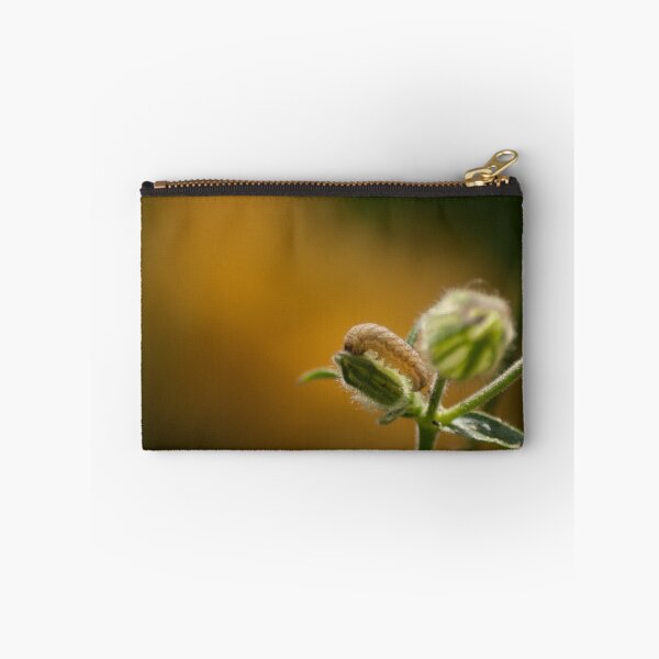 Item preview, Campion Moth Caterpillar on Orange Background  designed and sold by shane22.