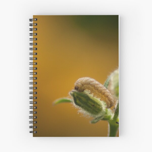Item preview, Campion Moth Caterpillar on Orange Background  designed and sold by shane22.