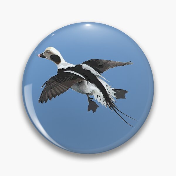 Item preview,  Longtail Duck Color Print  designed and sold by designsasstultd.
