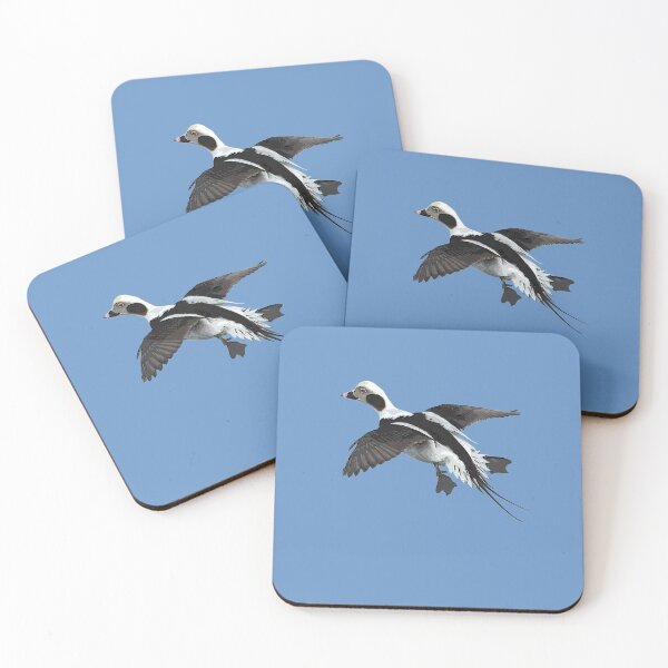 Item preview,  Longtail Duck Color Print  designed and sold by designsasstultd.