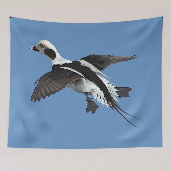 Item preview,  Longtail Duck Color Print  designed and sold by designsasstultd.