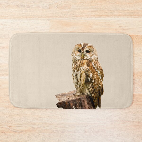 Item preview, Tawny Owl designed and sold by Jane Stanley Photography.