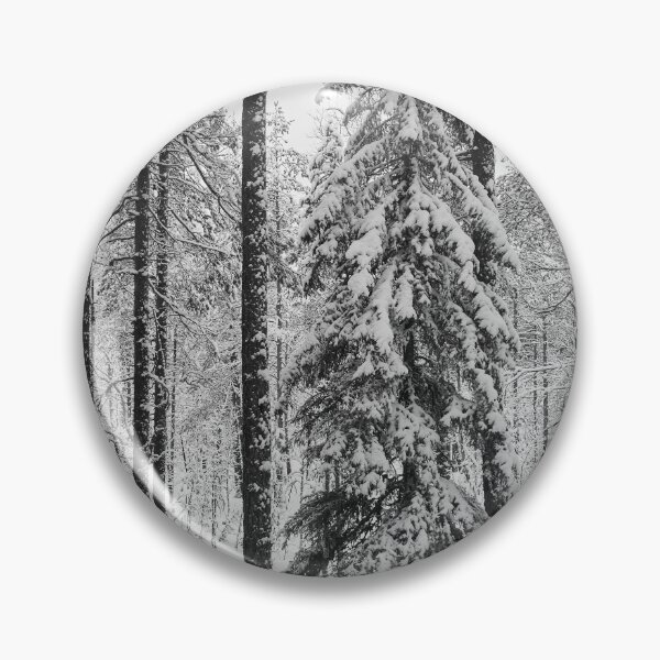 Item preview, Spruces and pines black and white designed and sold by Jouko Lehto Photography.