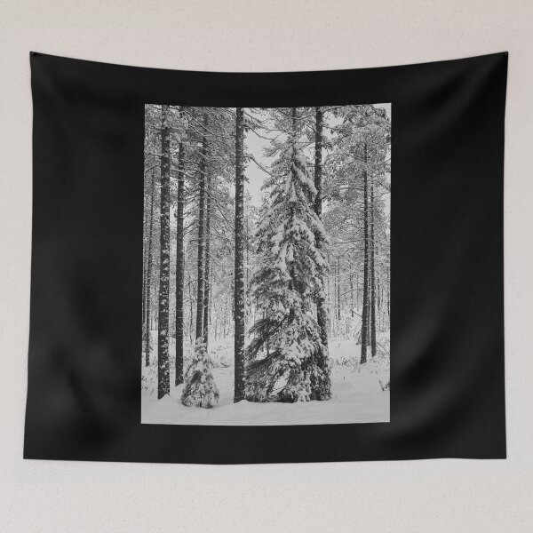Item preview, Spruces and pines black and white designed and sold by Jouko Lehto Photography.