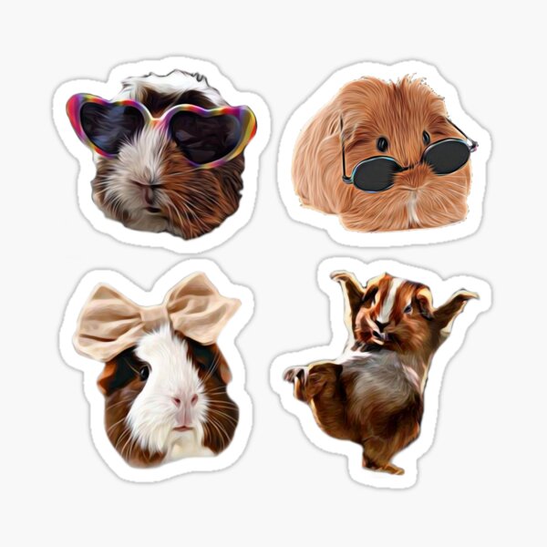 Funny Cute Guinea Pig Owner Pack Sticker