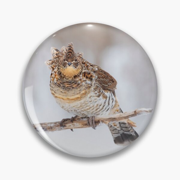 Item preview, 'Fluffed Grouse' designed and sold by James Cumming.