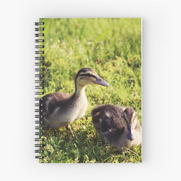 Item preview, Ducklings  designed and sold by cherishakayart.
